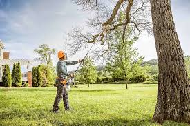 Best Commercial Tree Services  in Monument Hills, CA