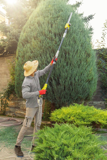 Best Aeration Services  in Monument Hills, CA